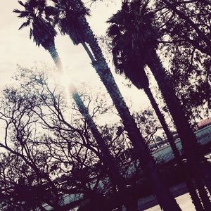 Meet your Posher, Noelle